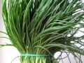 agretti-2