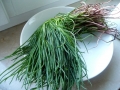 agretti-3