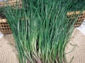 agretti-4