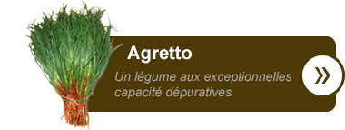 Agretto