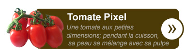 Tomate Pixel