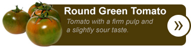 Round Green Tomato
