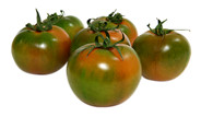 Round Green Tomato