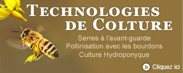 Technologies de Culture