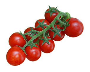 Pomodoro Ciliegino Agrisole