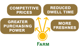 Short Production Chain